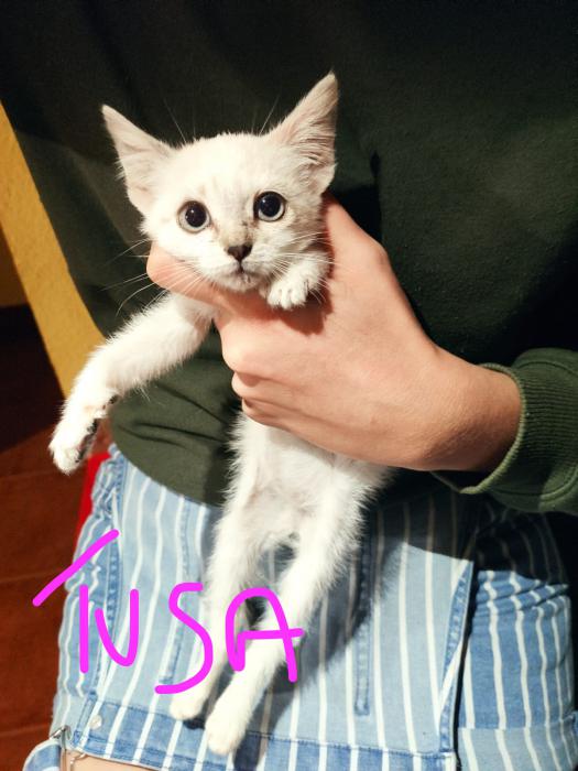 TUSA TUSA