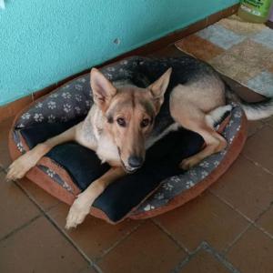 TUSKA