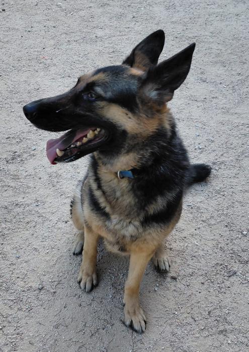 XENA