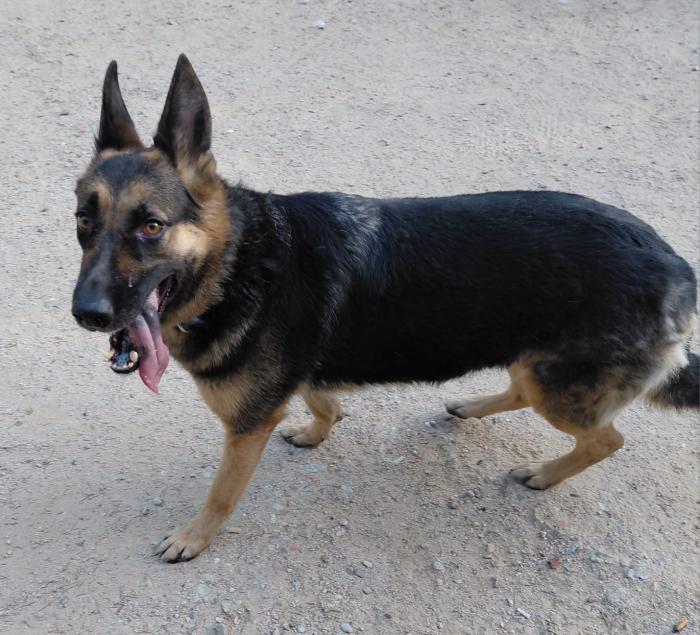XENA