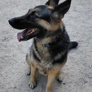 XENA